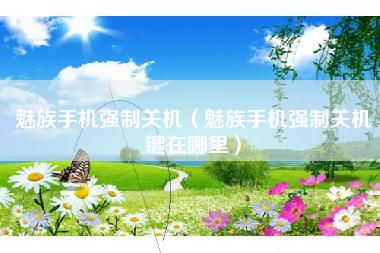 魅族手机强制关机(魅族手机强制关机键在哪里)