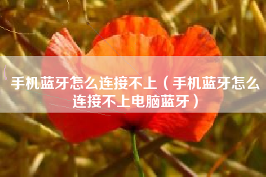手机蓝牙怎么连接不上(手机蓝牙怎么连接不上电脑蓝牙)