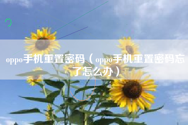 oppo手机重置密码(oppo手机重置密码忘了怎么办)