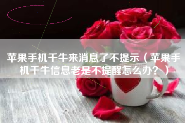 苹果手机千牛来消息了不提示(苹果手机千牛信息老是不提醒怎么办?)